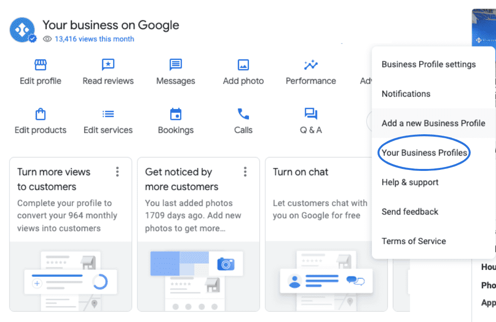 Screenshot of Google Business Profile Interface.