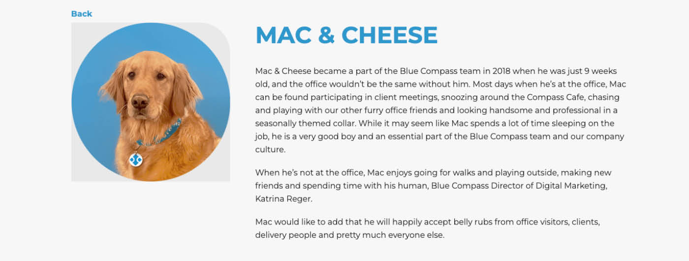 Mac and Cheese Bio