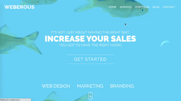 responsive web design and dynamic landing pages.