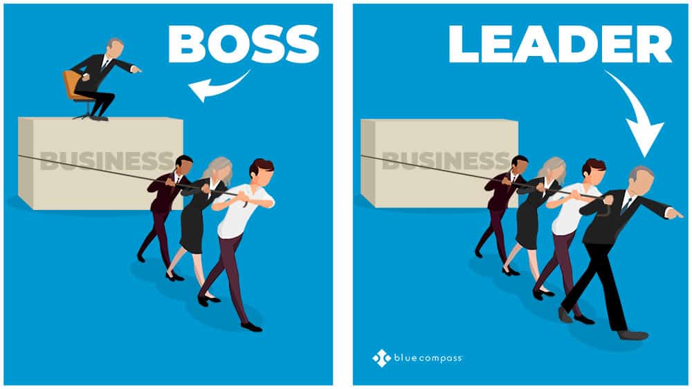 leader vs a boss image