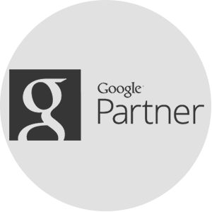 Blue Compass Google Partner