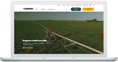 lindsay's website homepage displayed on a laptop screen.