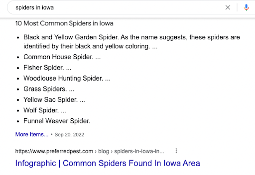 Screenshot of a Google search results about spiders.